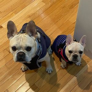 Meet your Posher, Justine